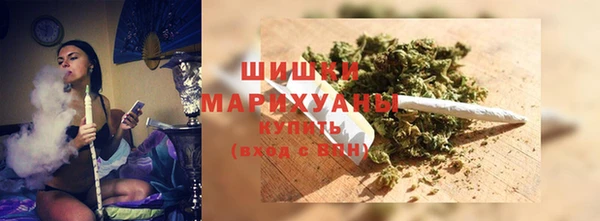 ПСИЛОЦИБИНОВЫЕ ГРИБЫ Абаза