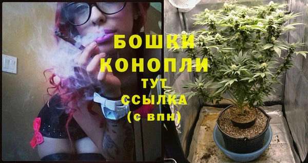 сатива Абдулино