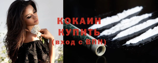 ПСИЛОЦИБИНОВЫЕ ГРИБЫ Абаза