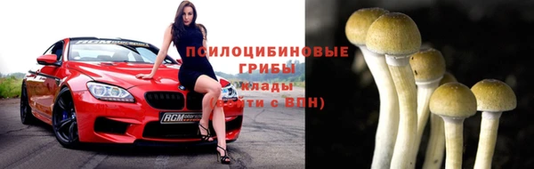 сатива Абдулино